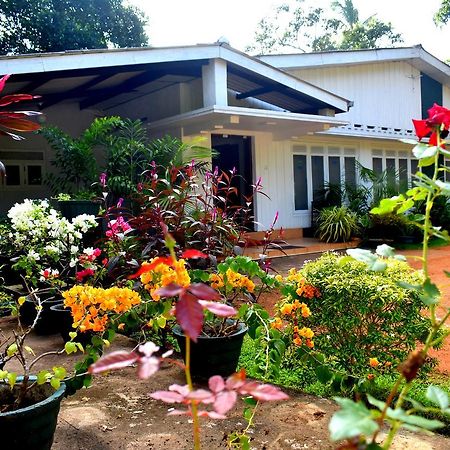 Molino Tourist Rest Anuradhapura Hotel Kültér fotó