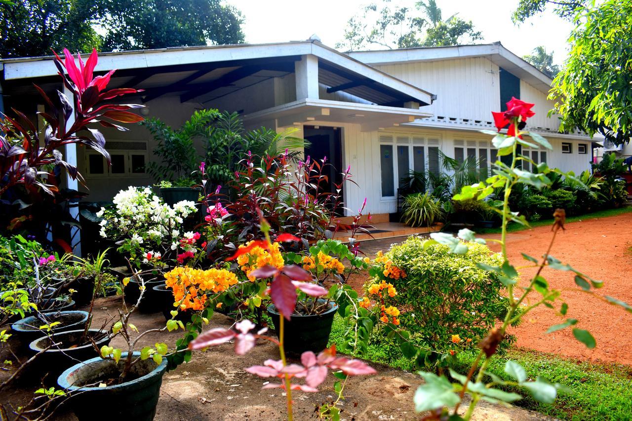 Molino Tourist Rest Anuradhapura Hotel Kültér fotó